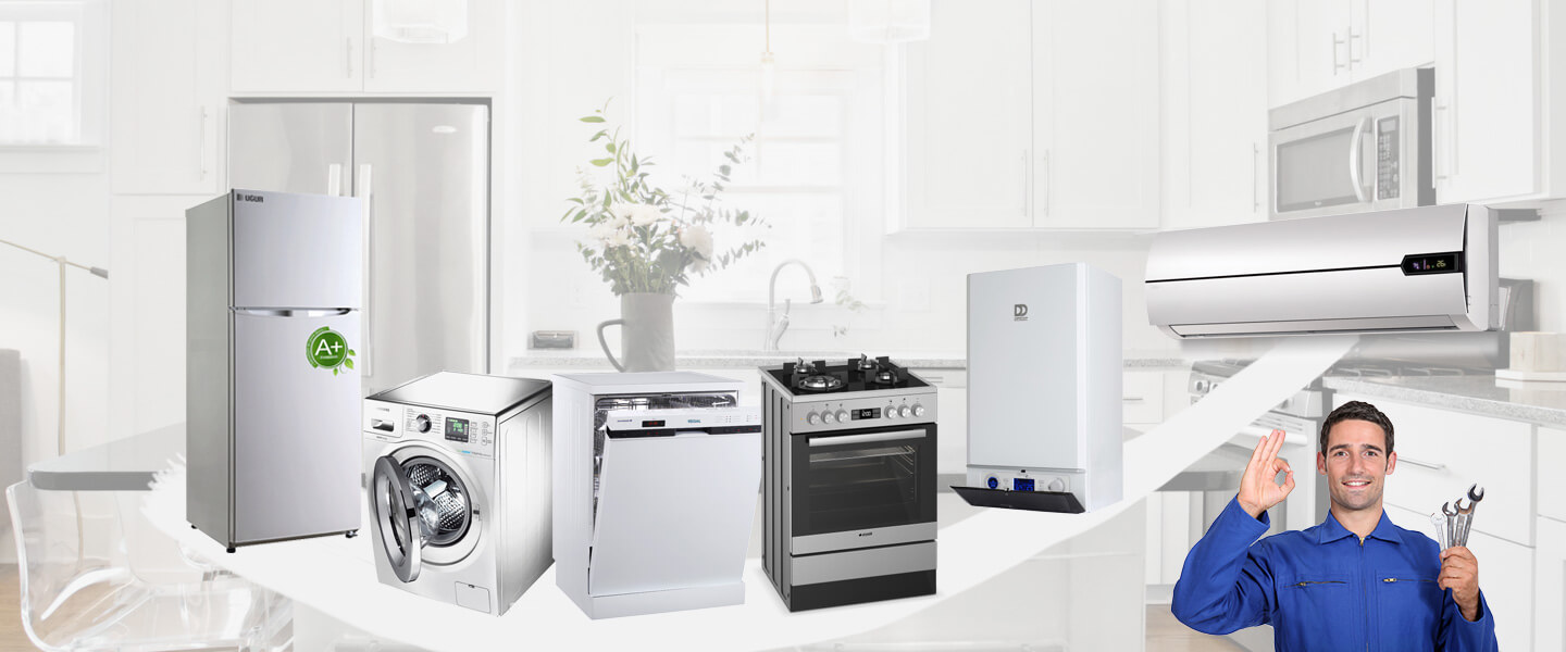 Adaklı Smeg Servisi
